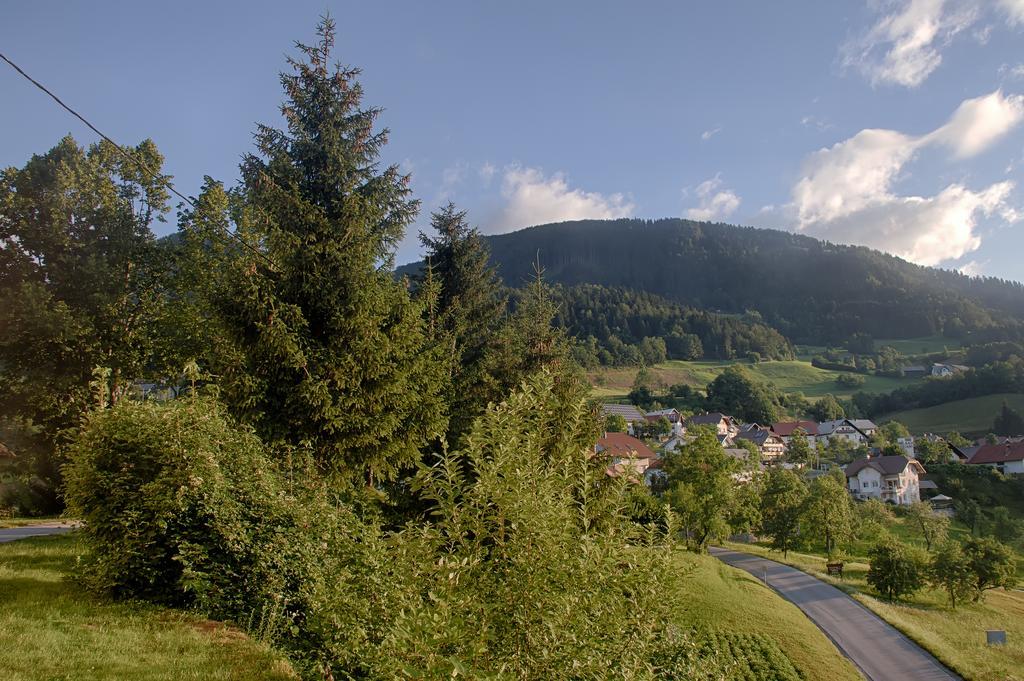 Gostilna Pension Blegos Poljane nad Škofjo Loko Kültér fotó